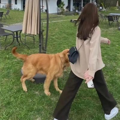 阿特米斯的奇幻历险