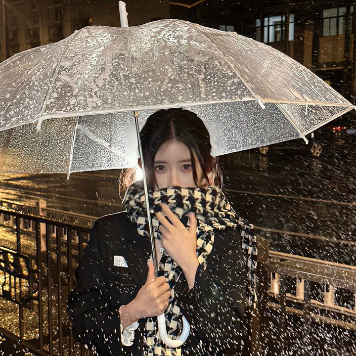 阁楼里的花